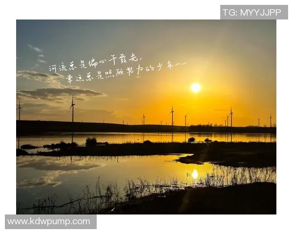 林葳：在繁华与宁静之间探索自我与人生的旅程